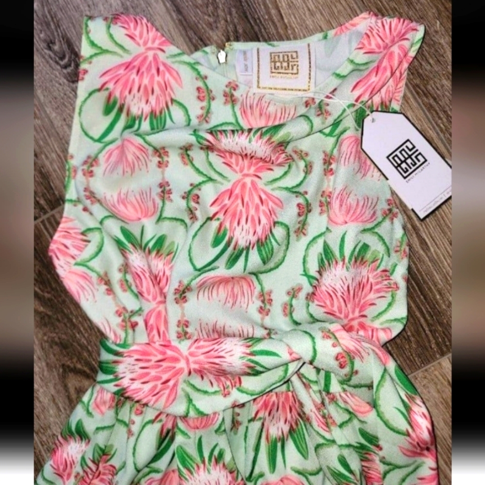 NWT Emily McCarthy Dress